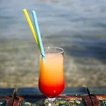 Borovnik Tisno
