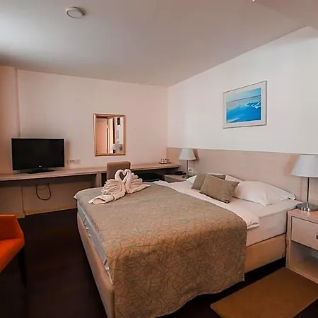 Hotel Borovnik 4*