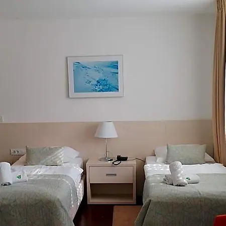 Hotel Borovnik
