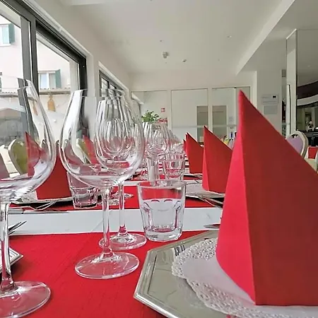 Hotel Borovnik