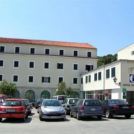 Borovnik Tisno
