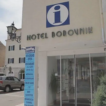 Borovnik