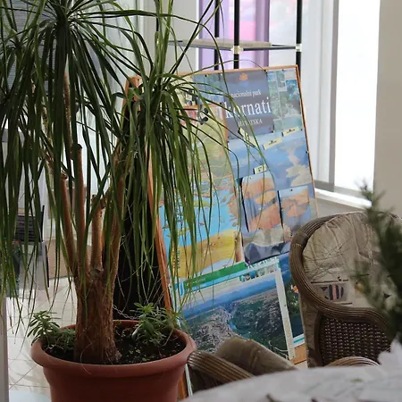 Borovnik Hotel 4*