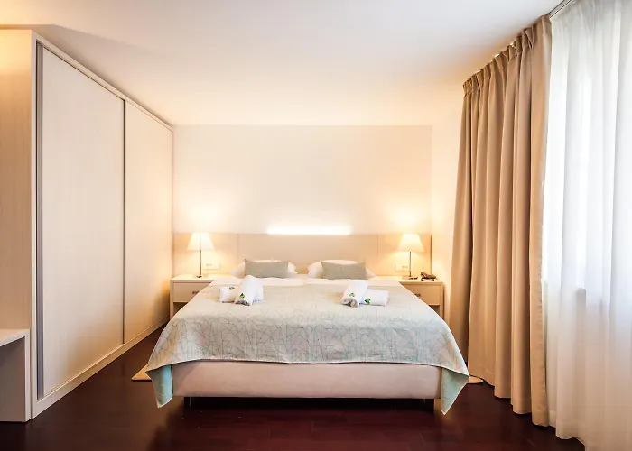 Borovnik 4* Тисно