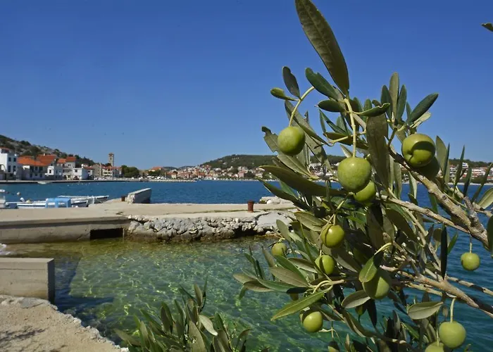 Отель Borovnik Тисно